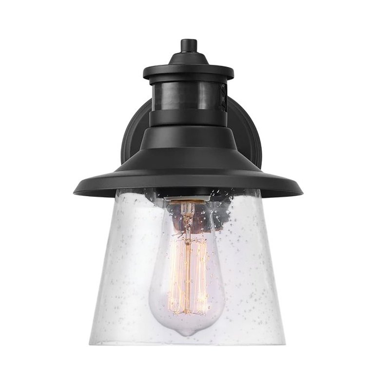 WALL SCONCE MTN SEEDED MB 9IN