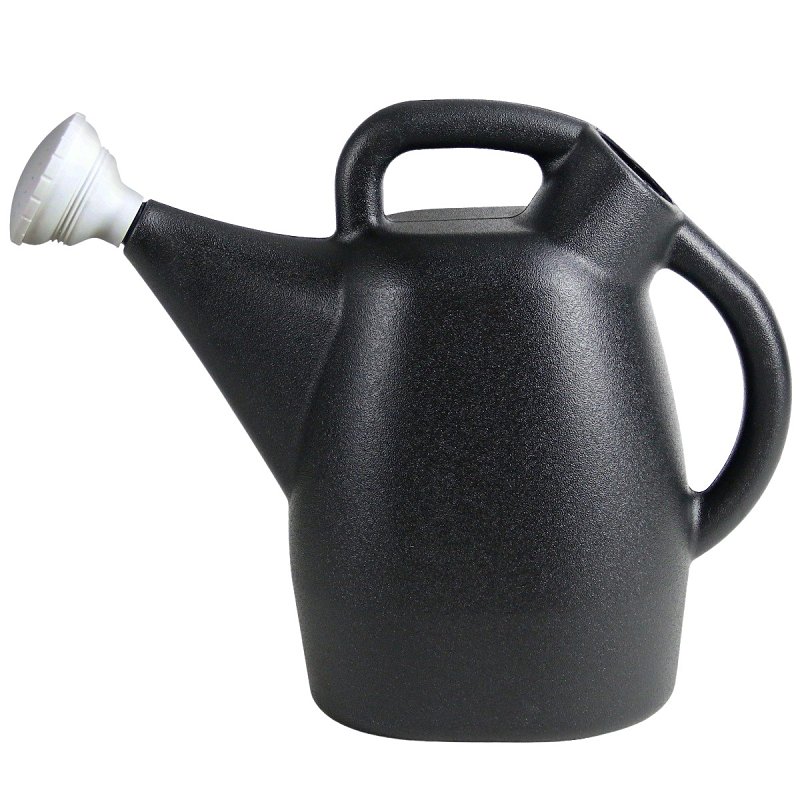 Chapin 47999 Watering Can, 2 gal Can, Plastic, Black