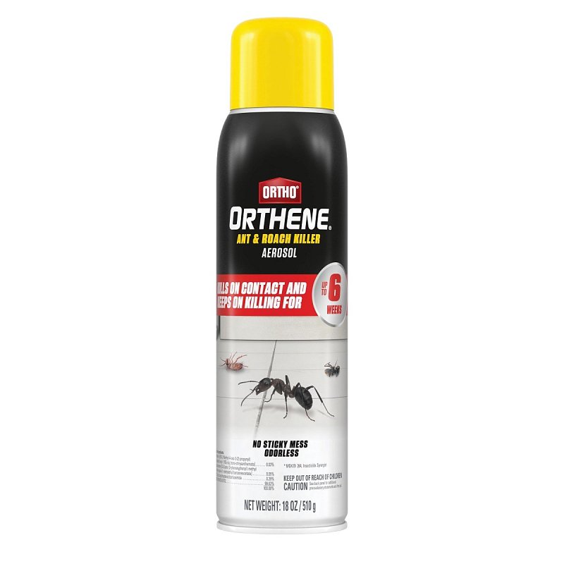 Ortho Orthene 4662105 Ant and Roach Killer, Solid, 18 oz Aerosol Can