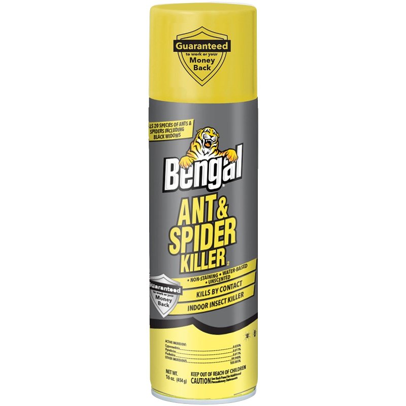 Bengal 93632 Ant and Spider Killer, Gasoline, Spray Application, Indoor, 16 oz Aerosol