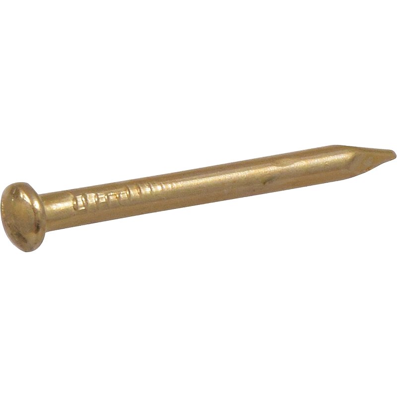 Hillman 122623 Escutcheon Pin, 1 in L, Steel, Brass-Plated, Round Head, Smooth Shank