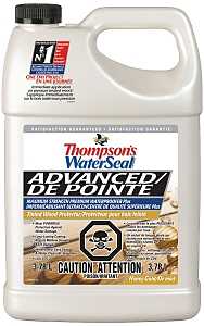 Thompson's WaterSeal THC051721-16 Wood Protector, Honey Gold