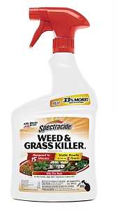 Spectracide HG-96428 Weed and Grass Killer, Liquid, Amber, 32 oz Bottle