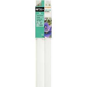 Sylvania 22362 Fluorescent Bulb, 32 W, T8 Lamp, G13 Medium Lamp Base, 700 Lumens, 5500 K Color Temp