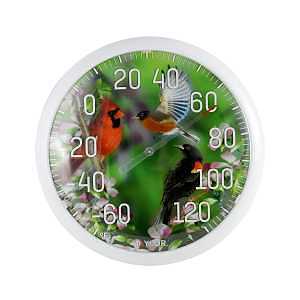 Taylor 6774 Bird Thermometer, Multi-Color Casing