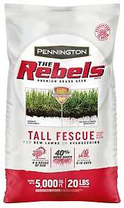 The Rebels 100543730 Grass Seed Blend, Tall Fescue, 20 lb Bag