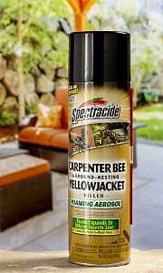 Spectracide 53371 Killer Foam, Liquid, Spray Application, 16 oz