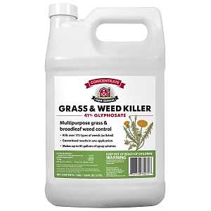 Farm General 75271 Grass and Weed Killer, Liquid, Clear/Viscous Green/Yellow, 1 gal