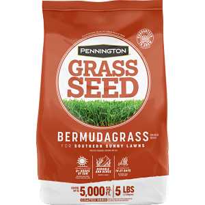 Pennington 100532363 Grass Seed, 5 lb, Bermuda