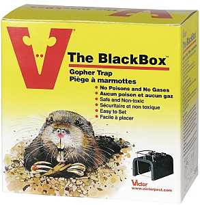 Victor 0626TRI Gopher Trap, Plastic/Steel, Black