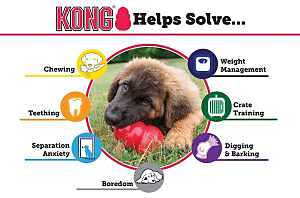 Kong Classic T1 Dog Toy, L, Rubber, Red