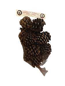 Santas Forest 70409 Pinecone Decor