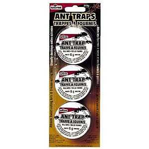 Wilson ANTOUT 7313600 Ant Trap, 6 g