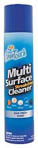 CleanTouch 9659 Cleaner, 8.5 oz Can, Rain Fresh