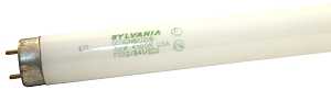 Sylvania 21781 Fluorescent Bulb, 32 W, T8 Lamp, Medium G13 Lamp Base, 2975, 4100 K Color Temp, Cool White