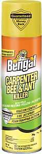 Bengal 97199 Carpenter Bee and Ant Killer, Spray Application, 16 oz