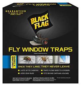 Black Flag HG-11017 Fly Window Trap, Solid, 1 Pack