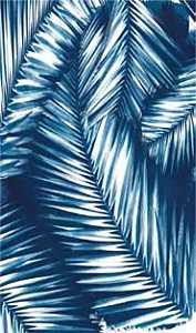 Quagga P11721-NVY Safety Scarf, Navy