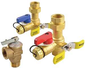 Richmond 0960617 Tankless Service Valve Kit, Brass