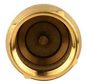 Water Source TFV200NL-RM Foot Valve, 2 in Connection, FNPT, 200 psi Pressure, Brass Body