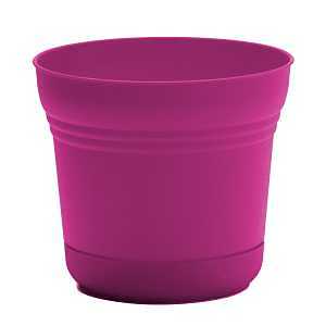 Bloem Saturn Series SP0715 Planter, 7-1/4 in Dia, 6-1/2 in H, Round, Plastic, Fuchsia