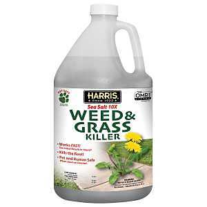 Harris CALSEAWEED-128 Weed and Grass Killer, Liquid, Clear, 128 oz