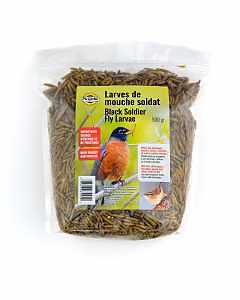 Premium Live Maggot Bird Food – High‑Protein Natural Feed for Wild Birds