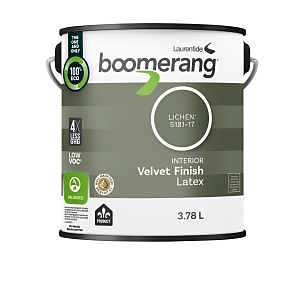 Boomerang Interior Paint, Latex, Velvet, Lichen, 3.78 L