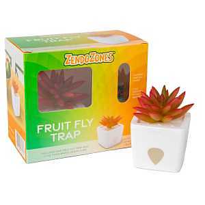 ZendoZones 1818-JJ Joyful Janet Fruit Fly Trap