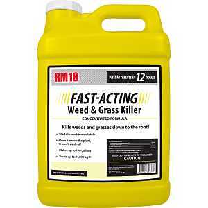 Ragan & Massey RM18 Series 75437 Fast-Acting Grass and Weed Killer, Liquid, 2.5 gal