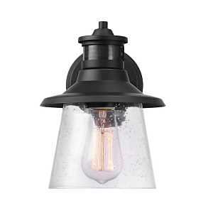 Wall Sconce MTN Seeded MB 9IN