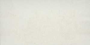 Emser Tile Potenza Series F12POTEIV1224V3 Porcelain Tile, 24 in L Tile, 12 in W Tile, Pressed Edge, Rectangular Pattern