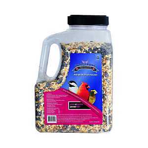 Premium Year‑Round Bird Feed Blend – 2.27 kg Bag