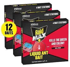 Ant Bait Station – Effective Indoor Pest Control Solution