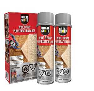 Great Stuff 12119299 Spray Foam Sealant Kit, 18 oz Can