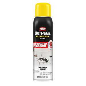 Ortho Orthene 4662105 Ant and Roach Killer, Solid, 18 oz Aerosol Can