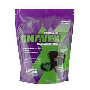 Gnavex 112880 Mouse Bait Station, Green