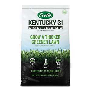 Scotts 18316 Grass Seed Mix, Kentucky 31, 40 lb Bag