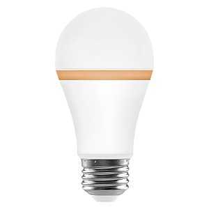 LED A19 2700K W/ Nightlight RI