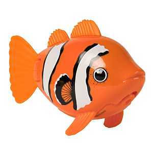 Rainbow Reef Clown Fish – Vibrant Aquarium Decor Accent