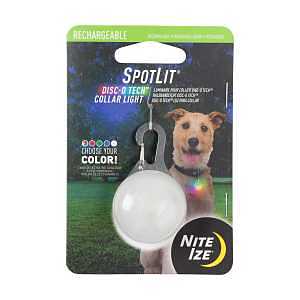 Spotlit Rechargeable Dog Collar Light