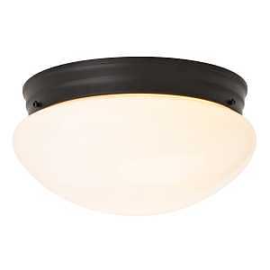 9.25" 2‑Light Flush‑Mount Ceiling Light – Black Metal